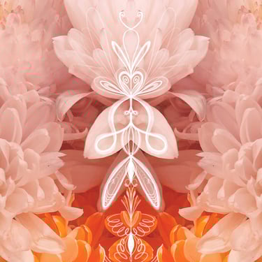 ilustración digital sobre fotografia floral