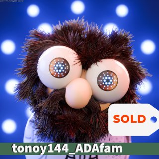 rwiat-nfts 1/1 PFP CNFTs/NFTs tonoy144 SOLD