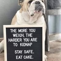 a dog sitting on the floor next to a sign that says, the more you