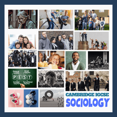 Sociolohy IGCSE content montage