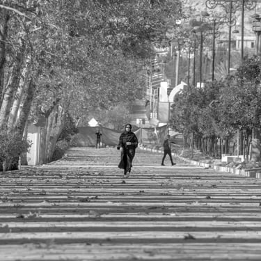 Shiraz Iran Photo Mohsen Mahmoodzadeh Foto