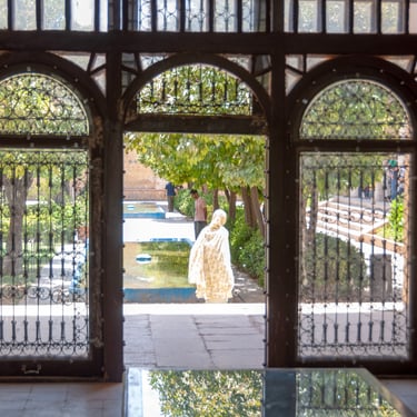 Shiraz Iran Photo Mohsen Mahmoodzadeh Foto