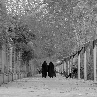 Eram Boulevard Shiraz Iran Photo Mohsen Mahmoodzadeh Foto