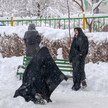 Women Tehran Iran Photo Mohsen Mahmoodzadeh Foto
