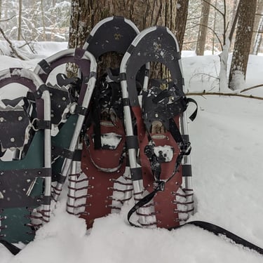 4 snowshoes in the backwoods in Michigan in the snow