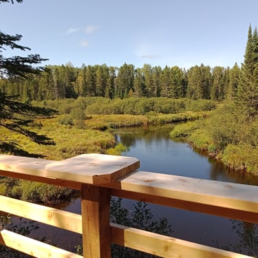sentier d'interprétation mycologique