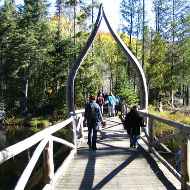 Journée mycologique