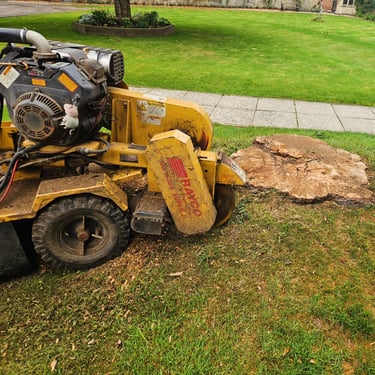 stump grinding