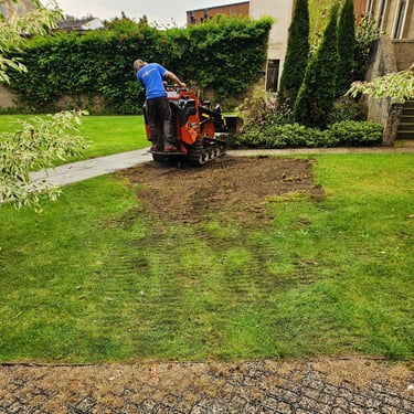 tree stump removal