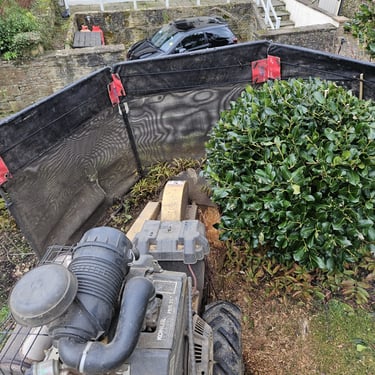 tree stump removal