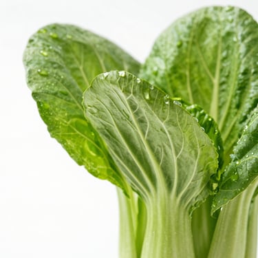 Crisp macro shot of vibrant green bok choy leaves with fresh water droplets, bright morning light, clean white background.