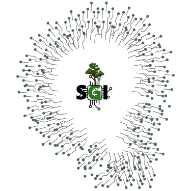 a tree in a circle with a green plant in the middle