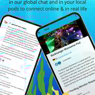 a mobile screenshot of a pod on MerMapp as well as the Discord channel to connect with the community both on- and offline