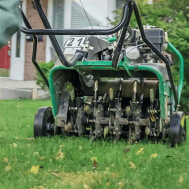 spring yard prep