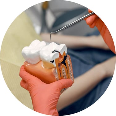 Endodontie soigner les racines des dents jet dentaire ozone Aquolab hygiene-precision.com