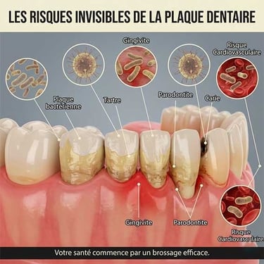 Les risques de la plaque dentaire sur la santé hygiene-precision.com