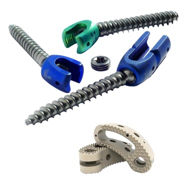 Inestabilidad de columna lumbar - Fijacion transpedicular (FTP) y TLIF (2)