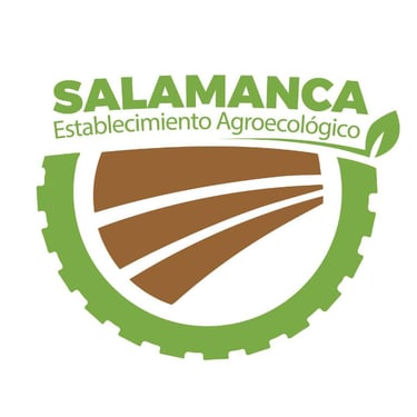 Análisis de eficiencia energética