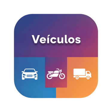 veiculos em indaiatuba categorias