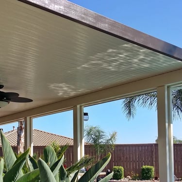 Birds of Paradise under patio cover.