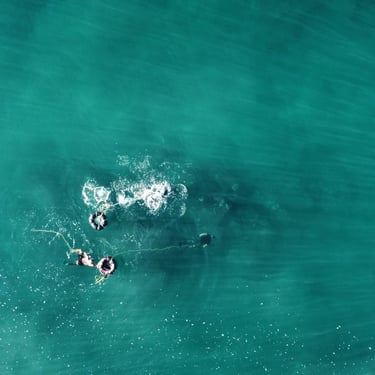 Playa Ventura, Mexico