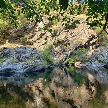 Baignade dans la Dourbie