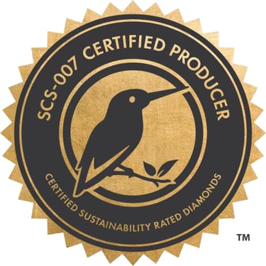 SP3 TECHNOLOGIES LLP SCS-007 CERTIFIED