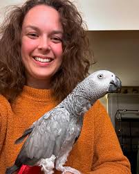 africangreyparrotshop.com