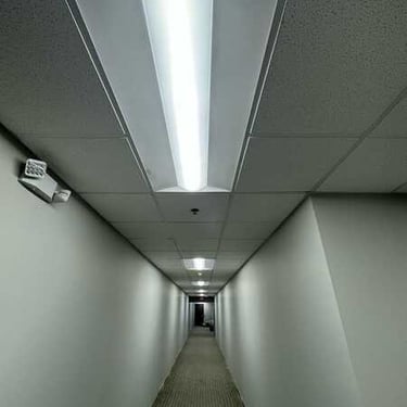 Electrical Service Experts Michigan