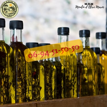 presse huile d'olive maroc
