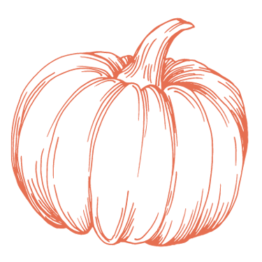 illustration d'un citrouille