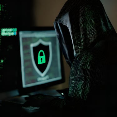 a person in a hoodie with a hoodie on