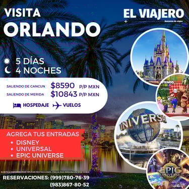 a flyer for a visit to the magic kingdom