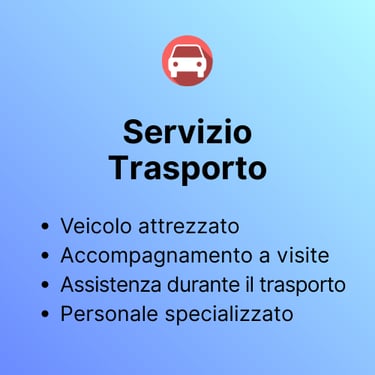 grafica servizio trasporto, taxi sociale, veicolo per carrozzina