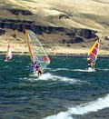Gorge Windsurfers