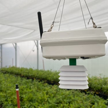 trufalab sensores tecnologia invernaderos