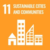 sustainability-goal-11