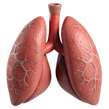 Pulmones