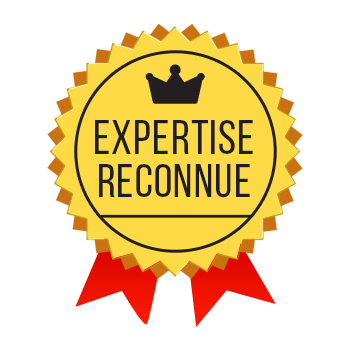 Une médaille d'or pour l'expertise acquise dans le cadre d'une expérience professionnelle couronnée 