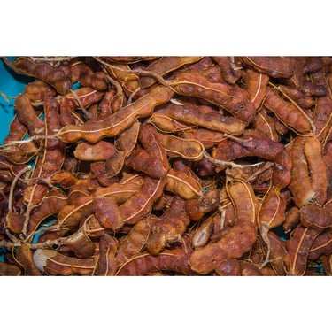 Tamarind - WEARE OCEAN EXPORT