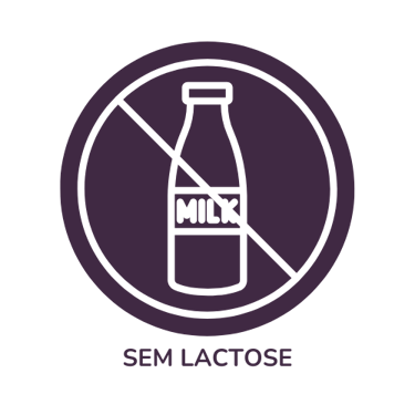 Sem Lactose Mr. Fit Prudente