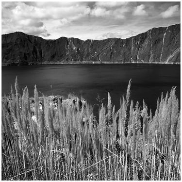 Ecuador: a lake with tall grass and mountains in the background