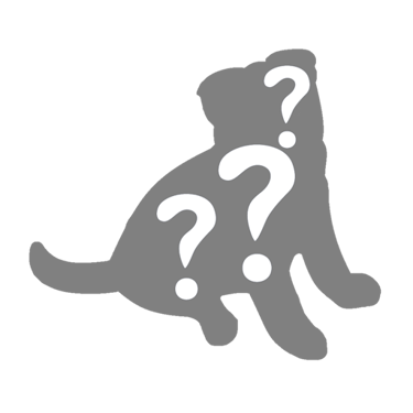 Does your brand qualify to be transformed into a dog character?