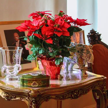 poinsettias