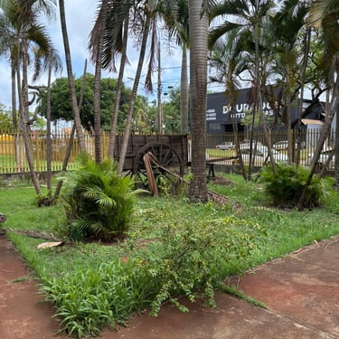 Cultura: deputada Gleice Jane solicita melhorias em biblioteca de Dourados
