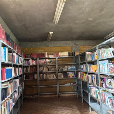 Cultura: deputada Gleice Jane solicita melhorias em biblioteca de Dourados