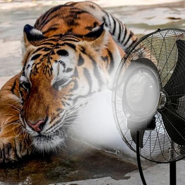 mist-fan-zoo