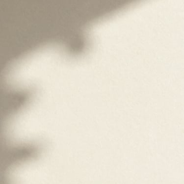 Abstract shot of light shadows on a cream-colored textured paper wall. Soft focus, grainy, minimalist composition with tones of #F8F3EC and #3E352B.