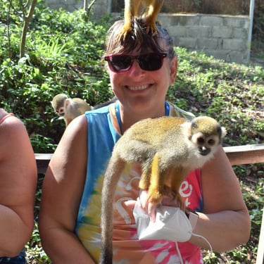 Amber Cove, Cruise Port, Maimón, Puerto Plata, Dominican Republic, monkeys