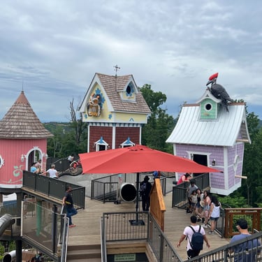 Anakeesta, Tennessee's award-winning outdoor family theme park, panoramic smoky mt views, adventures, entertainment 